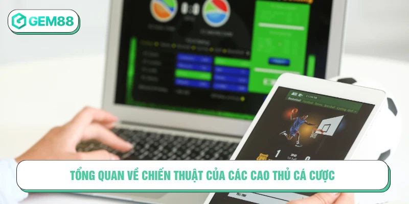 Tổng quan về chiến thuật của các cao thủ cá cược